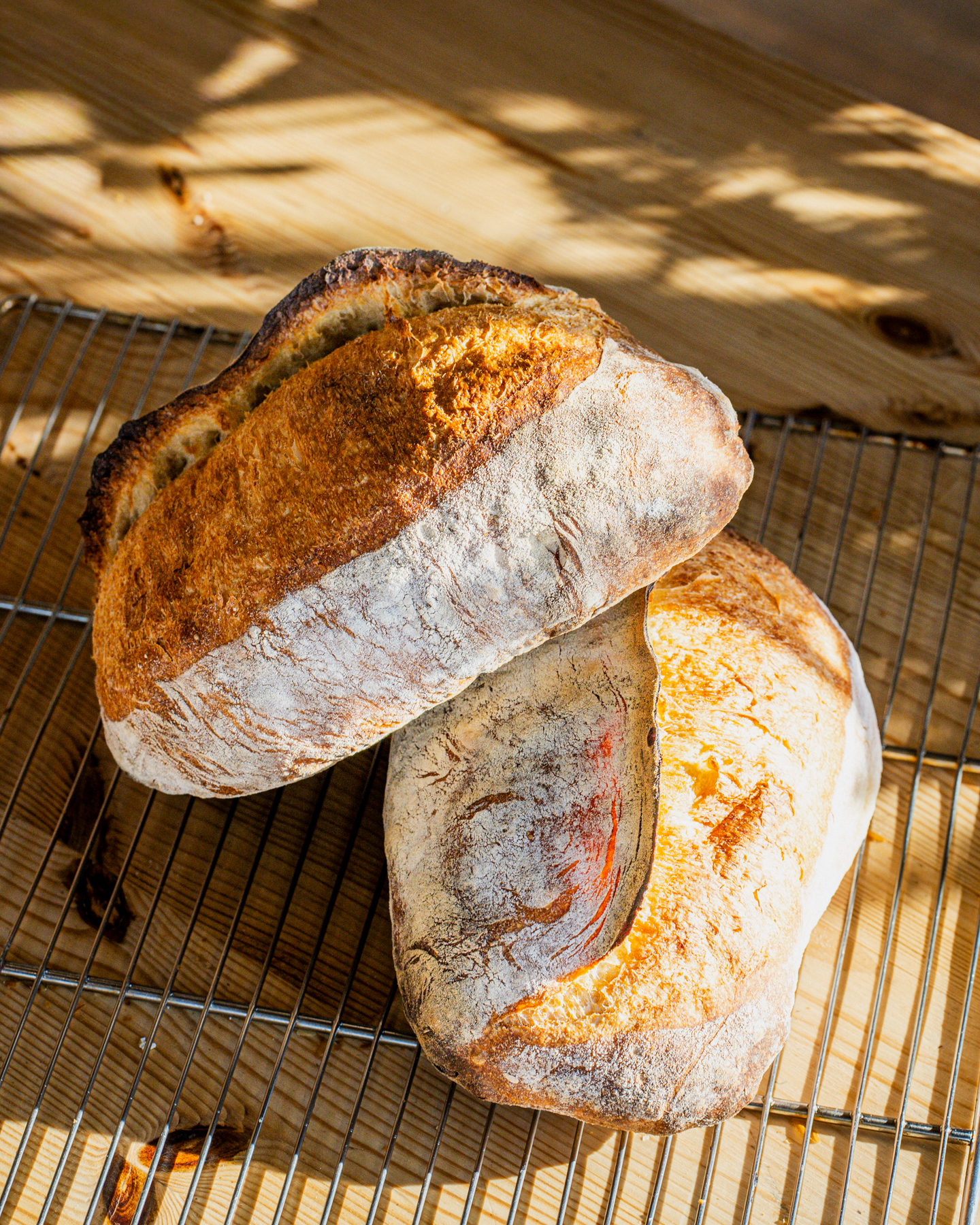 NOS PAINS ET VIENNOISERIES