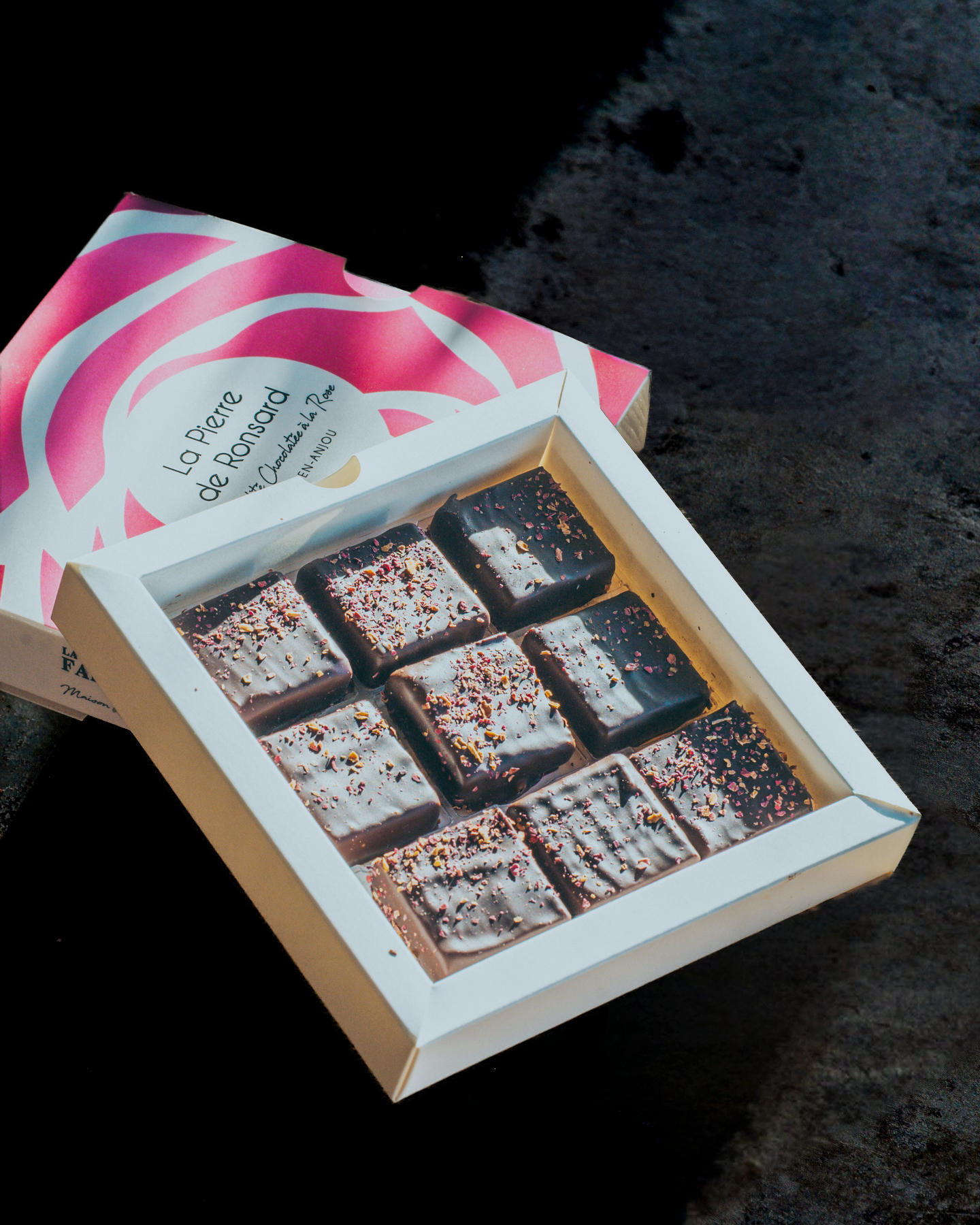 La Pierre de Ronsard